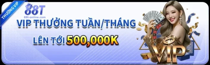 KHUYẾN MÃI 88T